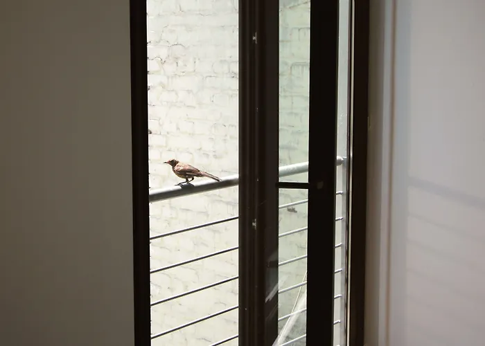 Chelsea Отель 3*