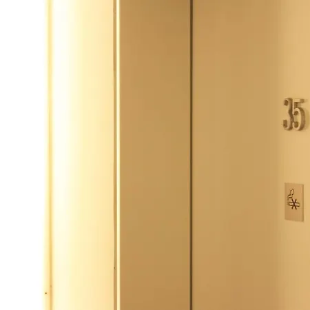 酒店 切尔西酒店 3*
